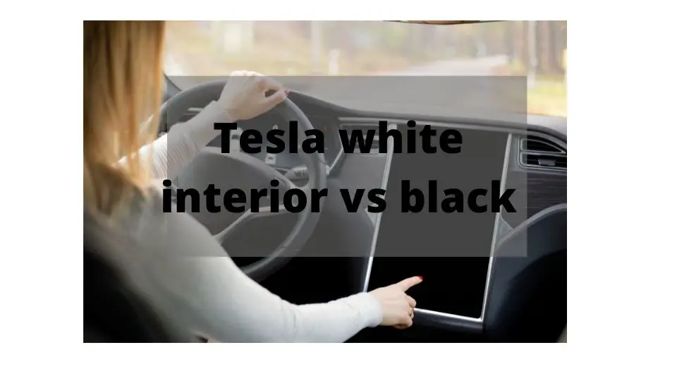 tesla model 3 white interior vs black